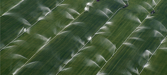 Troubled Waters for California Farmers