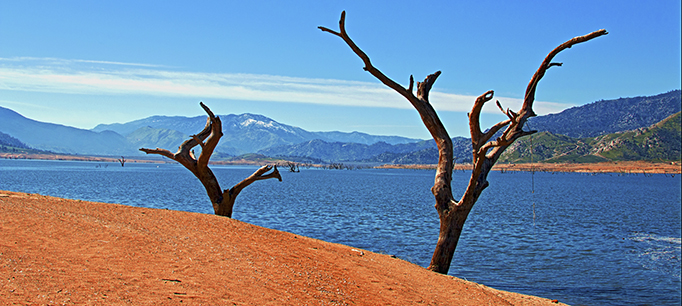 Video: Policy Priorities for California’s Water