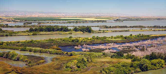 Understanding the New Federal Water Law