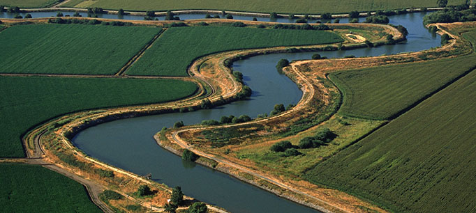 Stressful Times for Drought-Stricken Delta