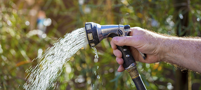 Drought Savvy? Take Our Water Trivia Quiz