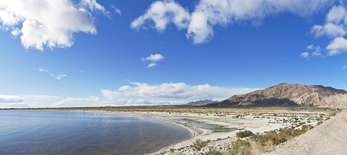 A Path to Progress for the Salton Sea