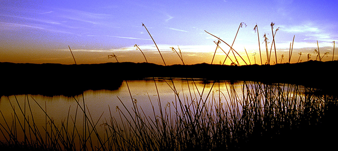 Wetlands at Risk from Federal Rule Change