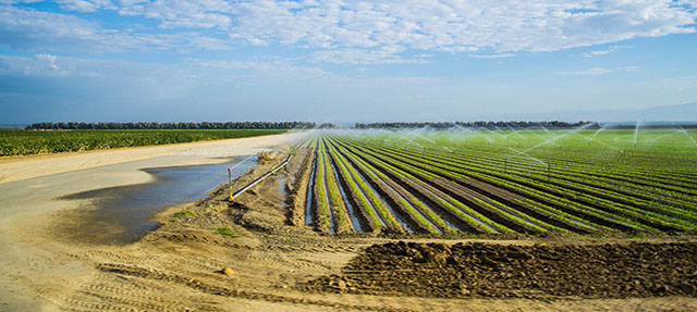 A Reality Check on Groundwater Overdraft in the San Joaquin Valley