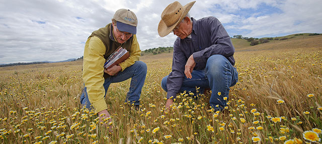 photo - Two Men in Field